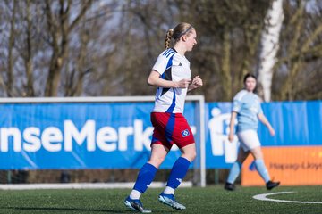 Bild 95 - F Hamburger SV 3 - Blau-Weiss 96 : Ergebnis: 5:1